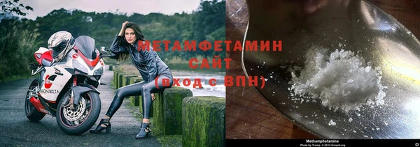 трава Магас