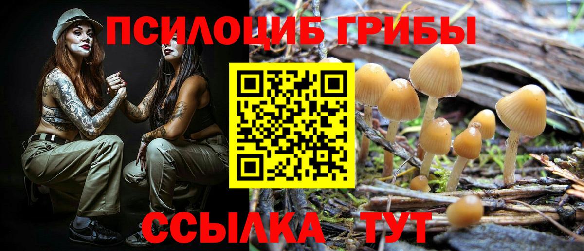 Галлюциногенные грибы мицелий Михайловка