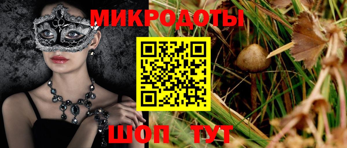 Галлюциногенные грибы мухоморы  магазин    Михайловка  Галлюциногенные грибы GOLDEN TEACHER 