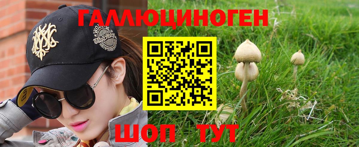 Псилоцибиновые грибы мицелий  наркошоп  Михайловка  Вход с VPN  Галлюциногенные грибы Psilocybe 