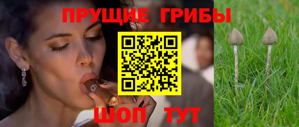 Псилоцибиновые грибы Magic Shrooms Михайловка