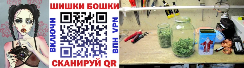 Каннабис ГИДРОПОН  закладки  Михайловка 